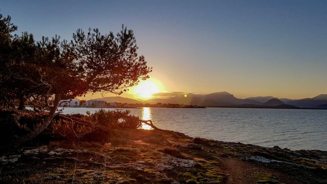 Es Fasser Алькудія Екстер'єр фото